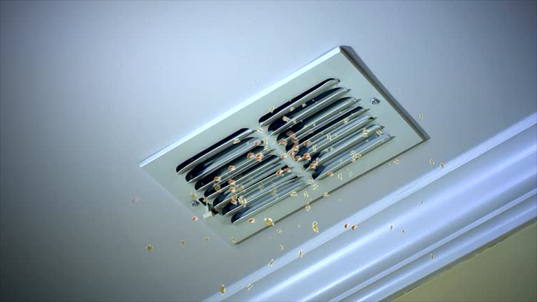 Best Air Vent Cleaning Services  in Pleasanton, CA
