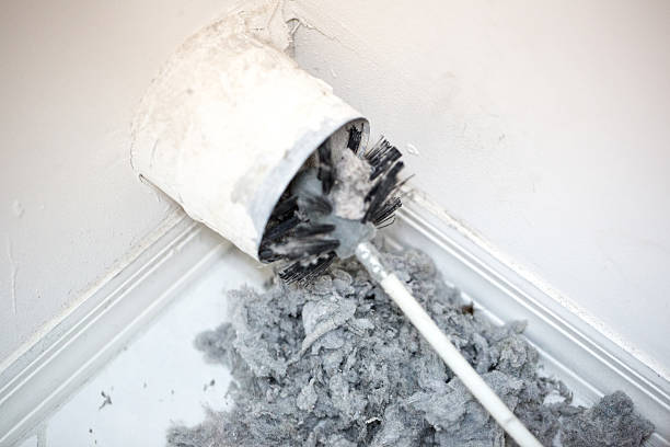 Best HVAC Duct Inspection Services  in Pleasanton, CA